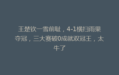王楚钦一雪前耻,4-1横扫雨果夺冠,三大赛破0成就双冠王,太牛了
