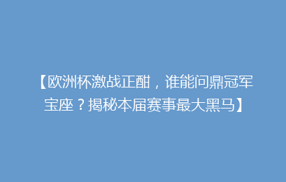 【欧洲杯激战正酣，谁能问鼎冠军宝座？揭秘本届赛事最大黑马】