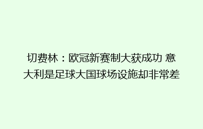 切费林：欧冠新赛制大获成功 意大利是足球大国球场设施却非常差