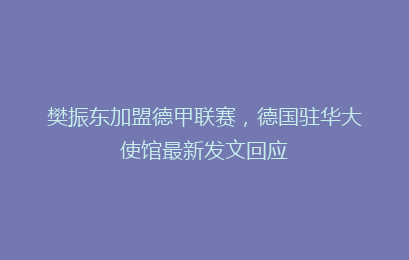 樊振东加盟德甲联赛，德国驻华大使馆最新发文回应