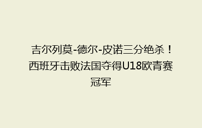 吉尔列莫-德尔-皮诺三分绝杀！西班牙击败法国夺得U18欧青赛冠军
