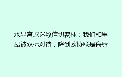 水晶宫球迷致信切费林：我们和里昂被双标对待，降到欧协联是侮辱